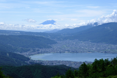 レンゲツツジと富士山＃８