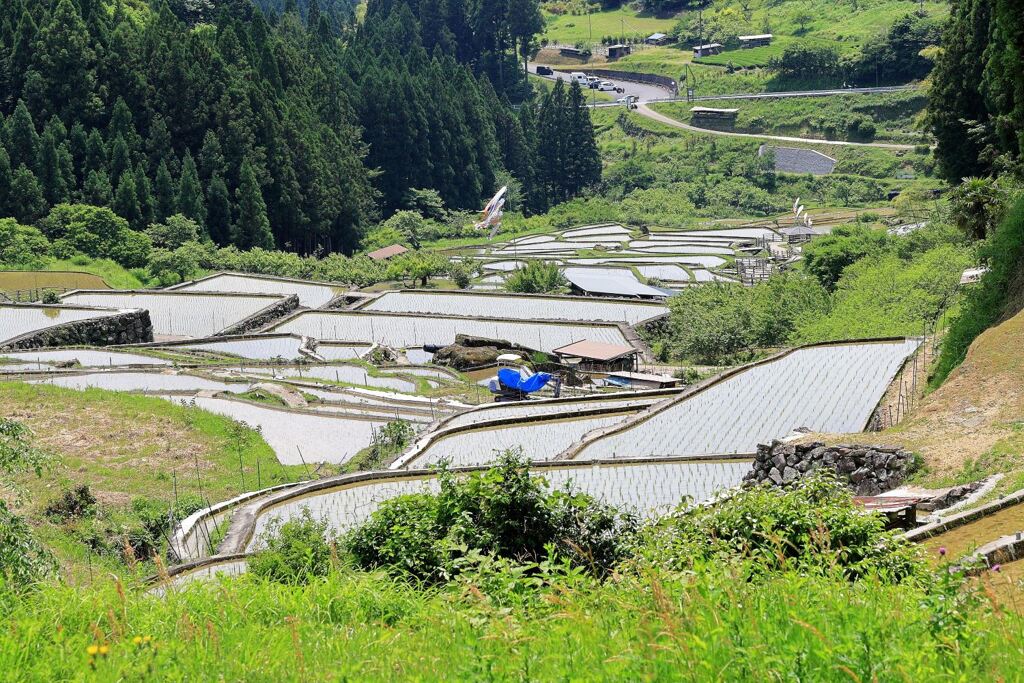 田植えを終えた新城市の千枚田棚田＃７