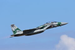 アグレッサー部隊の派手な機体＃１