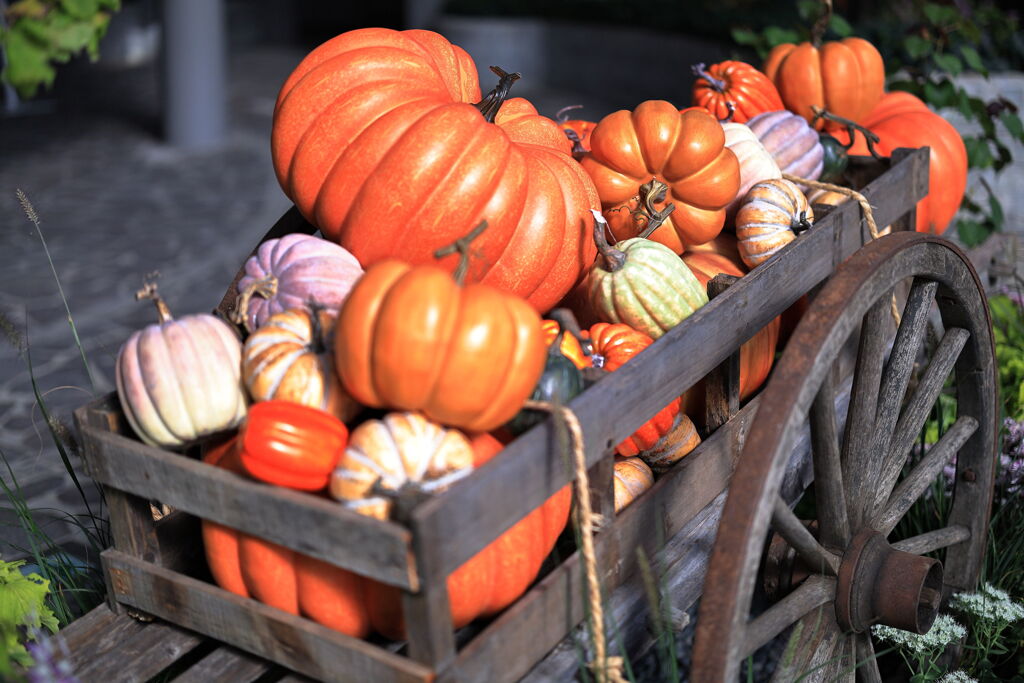 デンパークのハロウィン＃８