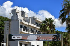 夏の吉良ワイキキビーチ#4