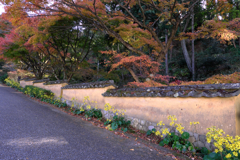 晩秋の紅葉撮影・松平郷#6