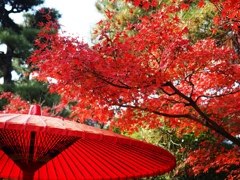 紅葉の名所西尾市の『尚古荘』#2