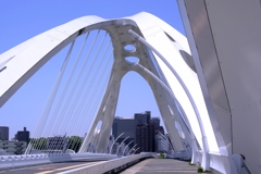 斬新なデザイン豊田大橋＃８