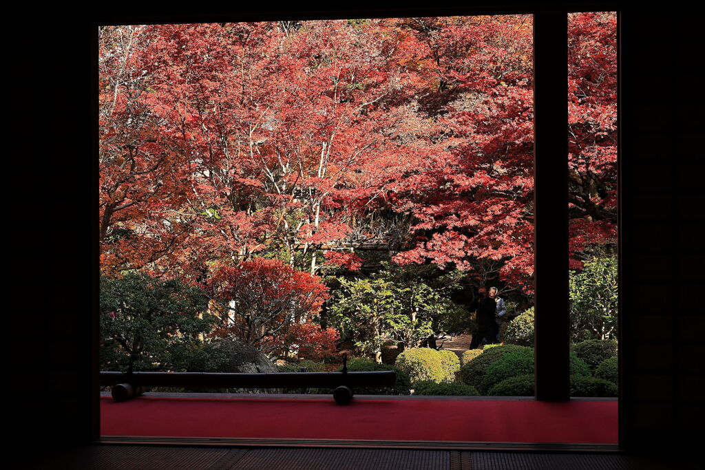 金剛輪寺の紅葉＃３