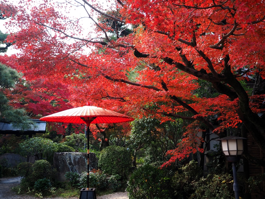 紅葉の名所西尾市の『尚古荘』＃１