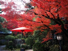 紅葉の名所西尾市の『尚古荘』#1