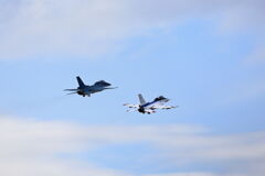 大編隊・機動飛行#8