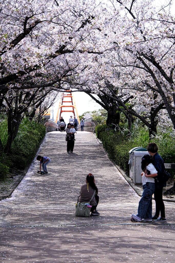 明石公園のサクラとおとぎ列車＃９