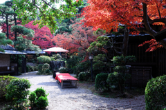 西尾歴史公園と尚古荘の紅葉＃５