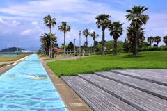 南国風情漂う白谷海浜公園#4