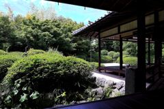 緑が眩しい丈山苑＃３