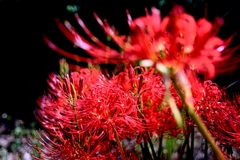 久し振りにJERAパークへ#5