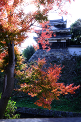 西尾歴史公園と尚古荘の紅葉＃３