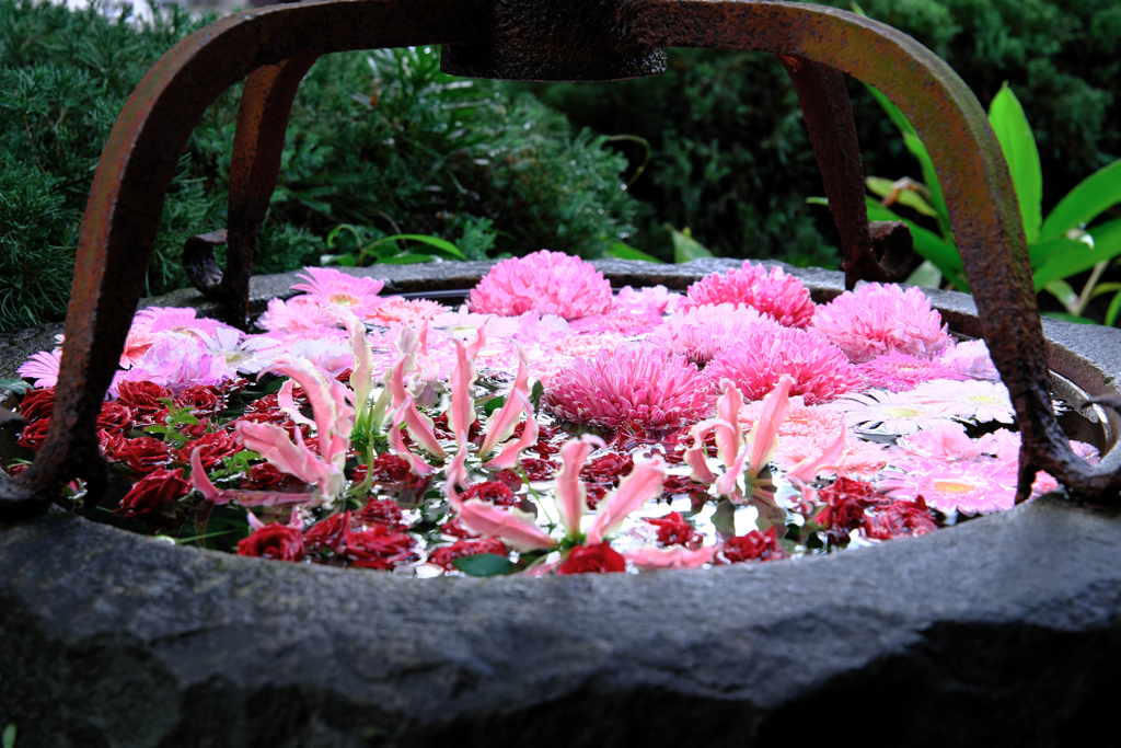 てらまちウォークと花手水＃３