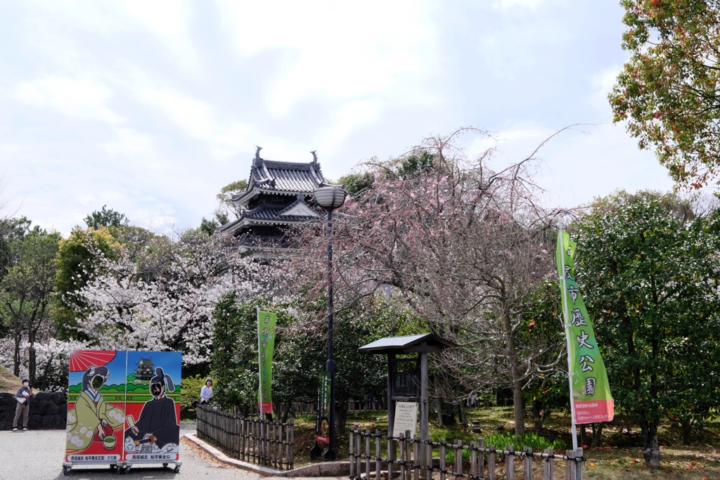 サクラ満開の西尾歴史公園＃１