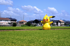 畑の真ん中にピカチュー出現!#8