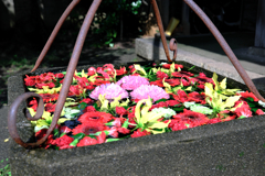 てらまちウォークと花手水＃２