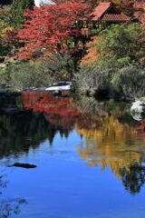 久し振りに大井平公園紅葉撮影＃１４
