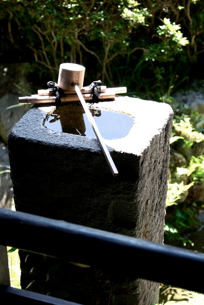 新緑が眩しい丈山苑＃５