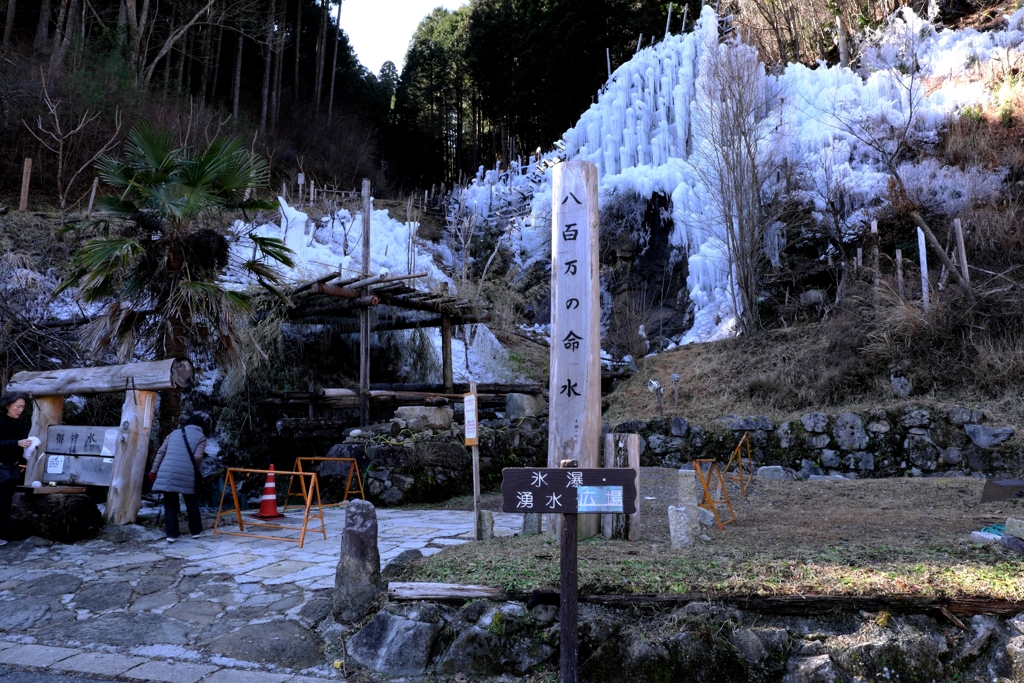 湧水広場・氷瀑撮影＃１