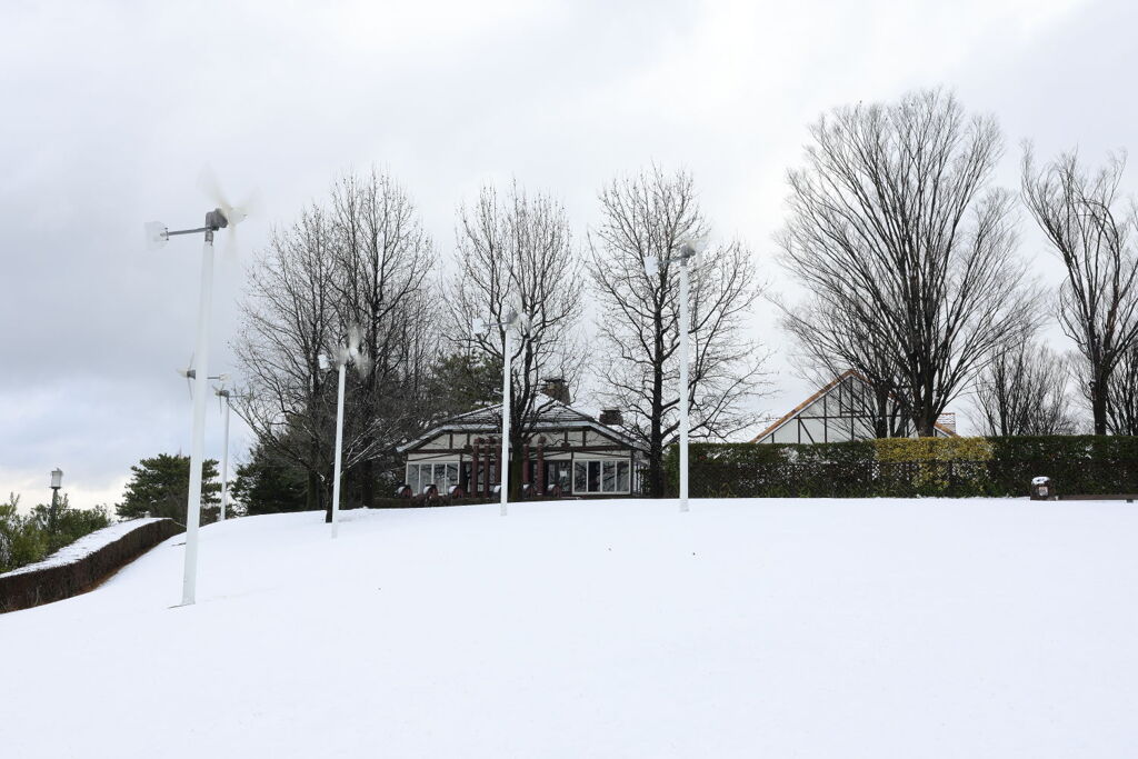 珍しく積もった雪景色＃４