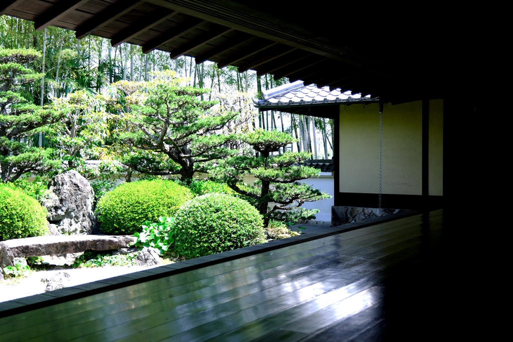 新緑が眩しい丈山苑＃４