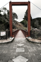 根羽村の『月瀬の大杉』#1