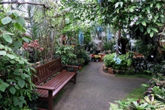 あおいパークで出会った花たち＃３