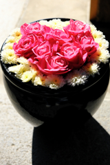 岡崎市・菅生神社の花手水＃１０