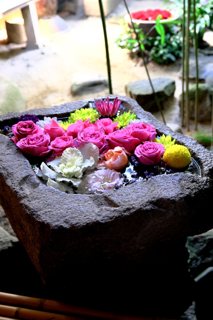 岡崎・菅生神社の花手水＃９