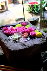 岡崎・菅生神社の花手水#9