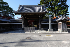 一色町・普元寺の紅葉＃１