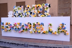 ２年振りのカリアンブレラ＃２