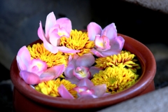 岡崎・菅生神社の花手水#4