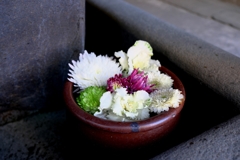 岡崎・菅生神社の花手水#2