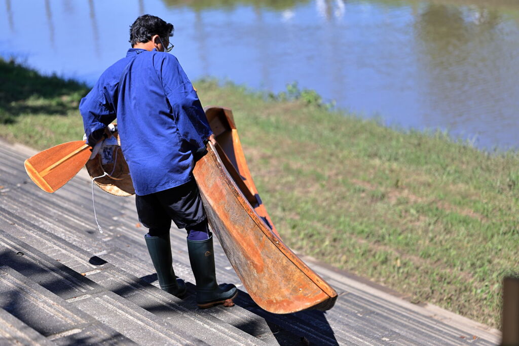五分咲きを迎えたリコリスの花＃８