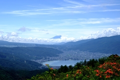 レンゲツツジと富士山＃１０