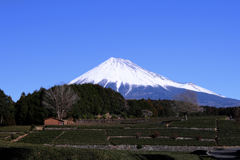新春恒例の富士山撮影＃２