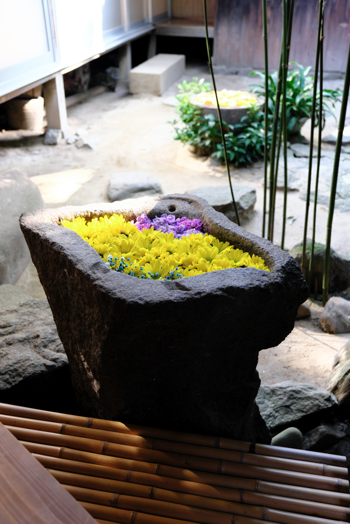 岡崎市・菅生神社の花手水＃４