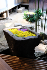 岡崎市・菅生神社の花手水＃４