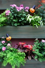 ハロウィン気分いっぱい＃４