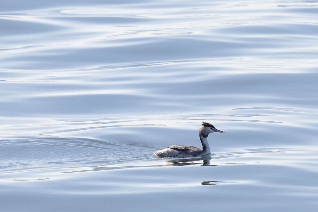 働く港の風景＃１０（おまけ）