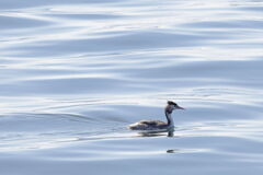 働く港の風景＃１０（おまけ）