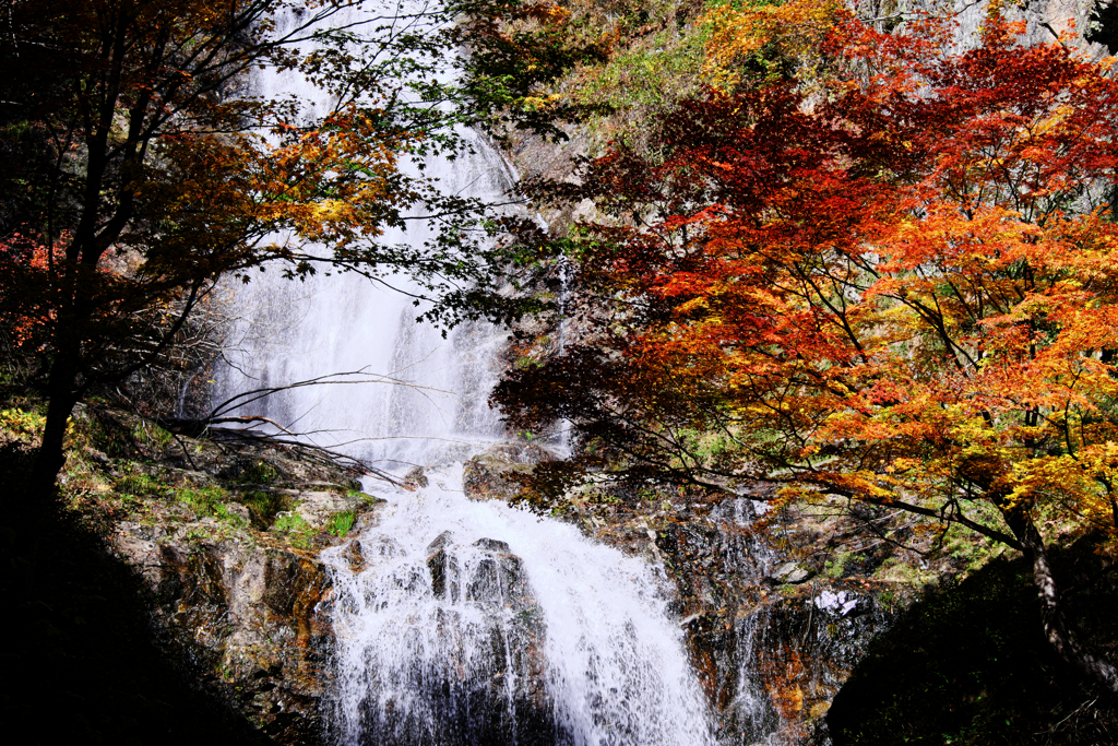 木曽町唐沢の滝・紅葉撮影＃１０