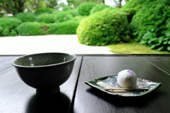 新緑が眩しい丈山苑#3