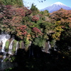 紅葉した白糸の滝と富士山