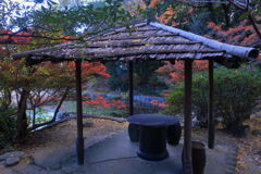 地元のお寺で紅葉狩り＃５