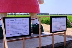 西尾の大かかし・チコちゃん#4