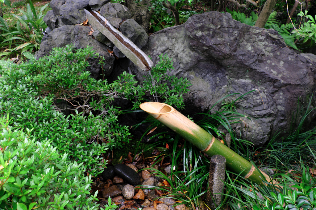 新緑が眩しい丈山苑＃１０